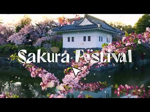 DiscoverVideo -30s-EN